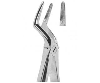 Extracting Forceps English pattern